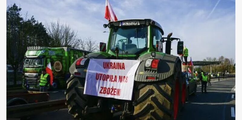 Як Польща та її сільськогосподарські виробники збільшують прибутки через експорт до України під час війни