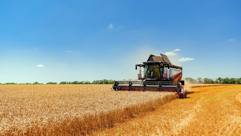 Україна завершила 87% посівної кампанії ярих зернових і зернобобових