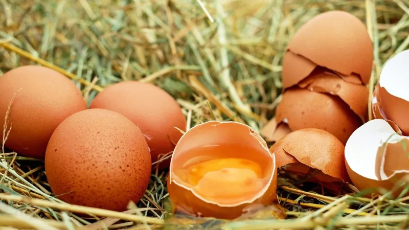 Спалах сальмонельозу у львівському ресторані Кацуріна