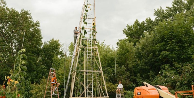 Українець встановив світовий рекорд, виростивши найвищий у світі соняшник
