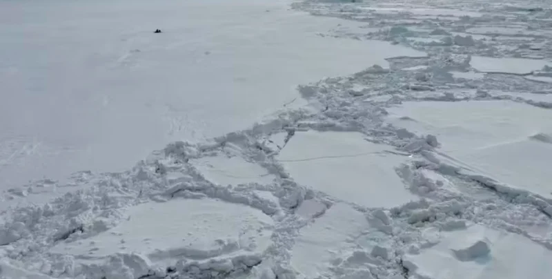 Зростання геополітичної напруги навколо Антарктиди: нові дослідження